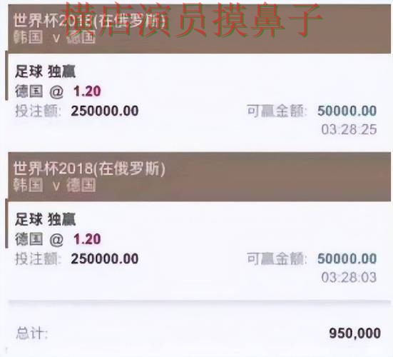 世界杯投注平台汇总报告：速度测试+直播与实际体验总结 - 世界杯直播